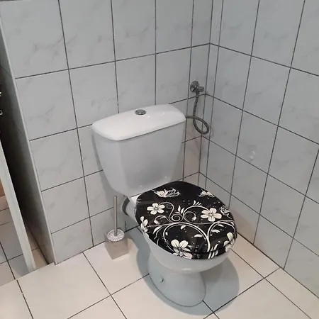 Historicke Centrum Apartman Tylova *