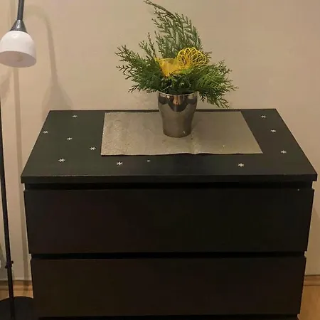 Historicke Centrum Apartman Tylova Plzeň