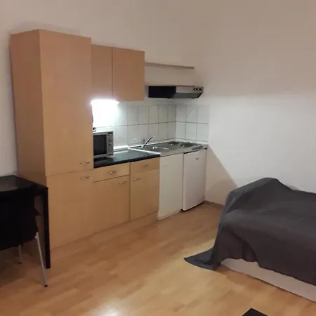 Historicke Centrum Apartman Tylova Lejlighed Plzeň
